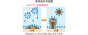 image-01-m