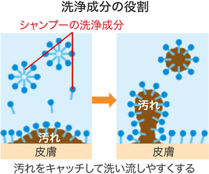 image-01-s