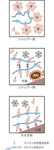 image-03-s