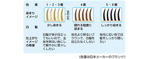 image-02-l