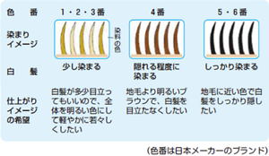 image-02-s