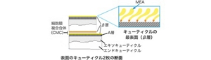 image-01-l
