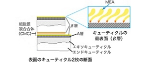 image-01-m