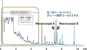 新ユーカリエキスと既存ユーカリエキスの詳細な成分比較。新ユーカリエキスは既存エキスと同等の活性成分であるマクロカルパール類を含む一方、不要な親水性夾雑成分の大部分が除去されている。