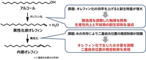 酸強度を調整した開発触媒により、生産性向上と不純物の副生抑制(オレフィン化) オレフィン化で生じた水分量を調整することによる二重結合位置の精密制御(異性化)