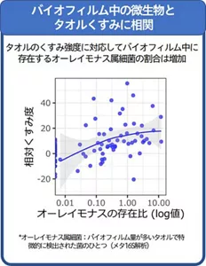タオルのくすみ強度とバイオフィルム中のオーレイモナス属細菌の割合とを示したグラフです。 くすみ強度に対応して、バイオフィルム中に存在するオーレイモナス属細菌の割合も相関よく増加していることが分かります。