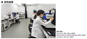 実際に研究している風景の写真です。 研究員が顕微鏡を覗いて観察しています。