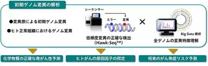 初期ゲノム変異の解析から得られる内容について説明をした図です。 初期のゲノム変異を、低頻度変異でも正確に検出できるシーケンス技術と全ゲノムの変異特徴に関するビッグデータとを組み合わせることで、正確な発がん性予測、がん原因因子の同定、将来のがん発症リスク予測を行うことが可能となる。