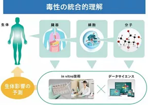 全身毒性を予測する統合的理解に関する概念図になります。 臓器、細胞、構成する分子に関して、in vitro技術とデータサイエンスを組み合わせることで生態影響を予測します。