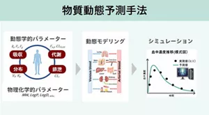 全身の物質動態に関する予測手法について説明した図です。 吸収や代謝などの物理化学的指標による動態学的パラメーターを、各臓器の特性を反映した動態モデリングと組み合わせて血中濃度推移のシミュレーションを行います。