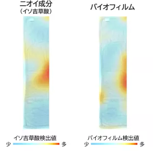 セントアイ技術によって可視化されたタオルの悪臭成分とバイオフィルムの分布。一般家庭から回収したタオルを洗たくし、実験室で部屋干ししたタオルでは、バイオフィルム(菌のかたまり)の分布と悪臭成分の分布がほぼ同じ位置であった。