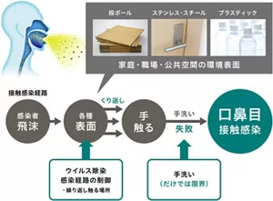 接触感染経路を示す、飛沫由来のコロナウイルスの付着の図。感染者の飛沫が、各種表面に付着し、それを非感染者が手で触り、口や鼻、目に触れることで、接触感染となる。非感染者の手に付着したウイルスを手洗いする場合、手洗いだけで接触感染を制御するには限界がある。そのため、非感染者も含めて繰り返し触るような各種表面に付着するウイルスを除染することで、感染経路の制御ができることを図示。