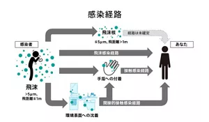 ウイルス感染症の、環境表面を介した接触感染経路の図式。