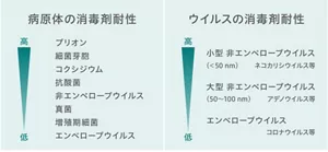 病原体とウイルスの、それぞれの消毒剤耐性の序列を示す図。病原体の消毒剤耐性は、高い方から低い方へ順に、ブリオン、細菌芽胞、コクシジウム、抗酸菌、非エンベロープウイルス、真菌、増殖期細胞、エンベロープウイルス。ウイルスの消毒剤耐性は、高い方から低い方へ順に、50ナノメートル未満の小型非エンベロープウイルス(ネコカリシウイルスなど)、50~100ナノメートルの大型非エンベロープウイルス(アデノウイルスなど)、エンベロープウイルス(コロナウイルスなど)。