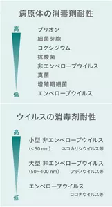 病原体とウイルスの、それぞれの消毒剤耐性の序列を示す図。病原体の消毒剤耐性は、高い方から低い方へ順に、ブリオン、細菌芽胞、コクシジウム、抗酸菌、非エンベロープウイルス、真菌、増殖期細胞、エンベロープウイルス。ウイルスの消毒剤耐性は、高い方から低い方へ順に、50ナノメートル未満の小型非エンベロープウイルス(ネコカリシウイルスなど)、50~100ナノメートルの大型非エンベロープウイルス(アデノウイルスなど)、エンベロープウイルス(コロナウイルスなど)。