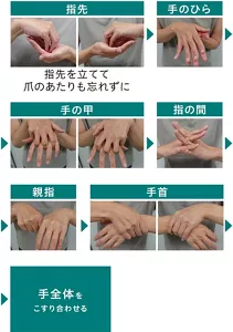 消毒剤を塗り広げる手順の写真。7ステップで表示。 ①指先:片方の手のひらに、もう片方の手の指先を立てる ②手のひら:両手のひらを合わせる ③	手の甲:片方の手の甲を、もう片方の手のひらで包む ④指の間:手の指を立てたまま、両手の指を交互に交差させる ⑤親指:片方の手の親指を、もう片方の手の平全体で包む ⑥手首:片方の手首を、もう片方の手のひら全体で包む ⑦手全体をこすり合わせる
