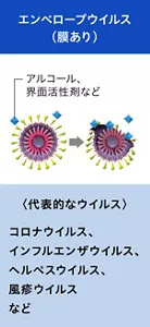 エンベロープウイルスの模式的な図。 エンベロープウイルスは外側に膜がある。アルコールや界面活性剤の作用により、膜が破壊されている。 代表的なウイルスとして、コロナウイルス、インフルエンザウイルス、ヘルペスウイルス、風疹ウイルスなど、と記載。