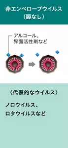 非エンベロープウイルスの模式的な図。 非エンベロープウイルスは膜を持たない。アルコールや界面活性剤の作用による変化はない。 代表的なウイルスとして、ノロウイルス、ロタウイルスなど、と記載。