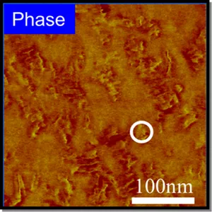熱応答性の高い結晶性材料がトナー中の10nm-100nmスケールで微分散。
