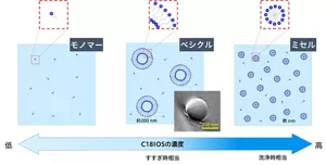 水道水中でのバイオIOS(C18IOS)の集合状態の変化、洗浄時相当ではミセル(粒径数nm)、すすぎ時相当ではベシクル(電子顕微鏡写真あり、粒径約200nm)、さらに低濃度ではモノマー