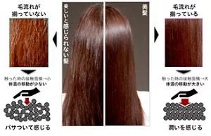 毛流れが整っている髪と、毛流れが整っていない髪の比較。毛流れが整っていないと美しいと感じれない。また、手で触った際、指と髪の接触面積が小さく熱移動が少ないことから、パサついて感じる。一方、毛流れが整っている髪は美しく見える。手で触ると、指と髪の接触面積が大きく体温の移動が大きいことから潤いを感じる。