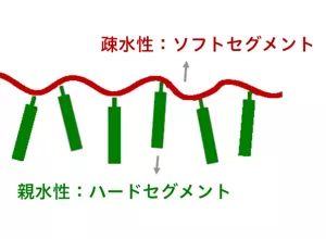 熱可塑性ポリマーの模式図。疎水性ソフトセグメントに親水性のハードセグメントが結合している様子。