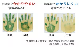 感染症にかかりやすい意識のある人とかかりにくい意識のある人の手の殺菌力を調べるために、大腸菌を手に乗せて3分後の菌の生存を調べました。その結果、感染症にかかりやすい人の手では直後と3分後でほとんど変化がなかったのに対して、感染症にかかりにくい人の手では、3分後に大腸菌がほとんどいなくなっていることがわかりました。