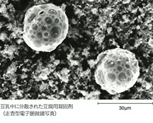 ニガリ(塩化マグネシウム水溶液)を内包した油滴(W/Oエマルション)が、豆乳中に微細に分散されている状態を示す電子顕微鏡写真