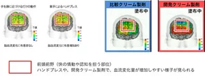 脳血流計測による「ポジティブ感情」の評価結果を示します。ハンドプレスや開発クリーム製剤を塗布すると、快の情動や認知を担う脳の部位である前頭前野で血流変化が増加しやすい様子が見られる。
