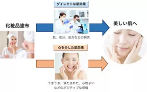 美しい肌に導くルートを説明します。従来、肌を美しく導く製品を開発する上では、配合成分など肌にダイレクトに働きかけるアプローチが中心でしたが、今回の研究から、感情に着目した心を介した肌効果のアプローチも美しい肌に導く手段として有用であることが新たに示されました。