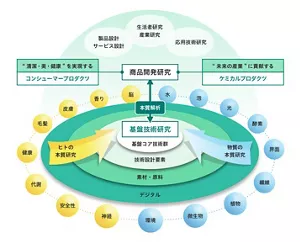 多分野の科学と技術の融合により価値を創出している、花王の研究開発部門の特徴を円盤状に示した画像。ヒトと物質の本質研究にデジタル技術を融合させた基盤技術研究と、生活者を研究し、製品設計と応用技術を実用化する商品開発研究が、本質解析によって結びつき、清潔・美・健康を実現するコンシューマープロダクツと未来の産業に貢献するケミカルプロダクツの提供につながっています。