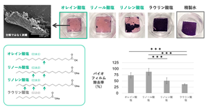 義歯の素材であるポリメチルメタクリレートの板にモデルバイオフィルムを形成させて行った洗浄実験の結果、オレイン酸塩での高い除去率が確かめられた。