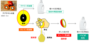 開発チームは、パーム油を食用に採取したあとに残る固体状の油脂に目を付けた。これなら、食用と競合しにくいし、工業用の用途に限られていてあまり使われていない。