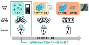 分子の形によって、界面活性剤の集合状態はさまざまに変化する。バイオIOSでは、洗浄機能に有利な円錐状の分子形状を目指した。