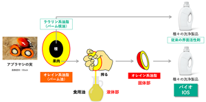 開発チームは、パーム油を食用に採取したあとに残る固体状の油脂に目を付けた。これなら、食用と競合しにくいし、工業用の用途に限られていてあまり使われていない。