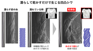 濡らして乾かすだけで生じる凹凸シワ。単繊維が水を吸って膨らみ、糸のヨリが崩れる。そのヨリ崩れが乾燥で固定され、凹凸シワとなる。