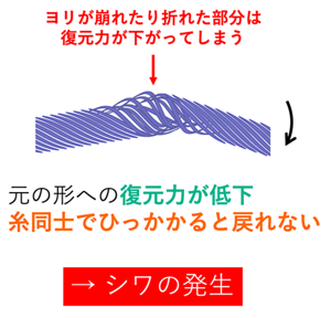 糸のヨリが崩れたり折れた部分は復元力が下がる。元の形への復元力の低下と、糸同士がひっかかり戻りにくいことが、シワ発生の原因となる。