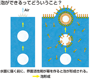 水の中の気体のつぶ、つまり気泡を界面活性剤が取り囲むことで安定な泡ができる。