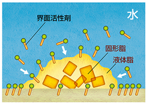従来の界面活性剤は、汚れだけでなく角層にも収着(吸着・浸透)してしまう。