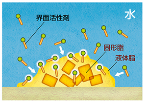 新開発の界面活性剤ECは汚れの中でも液体状の皮脂成分に積極的にくっついてラメラ液晶を形成する。
