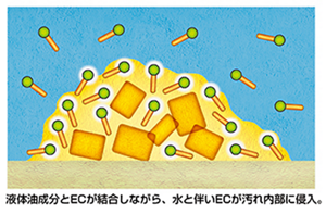 皮脂成分と一体になったECは周辺の水分子を汚れの中に引き込んでいく。