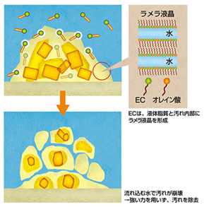ECと一体化してラメラ液晶になった汚れは、水を引き込むと自発的に崩壊していく。