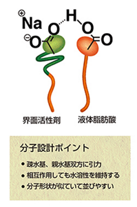 EC、つまりエーテルカルボキシレートは特殊な親水基のはたらきで、液体状の皮脂と二量体、つまり一対一のペア構造を作る。