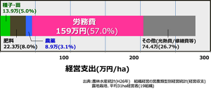 個々の生産者を集約し、農業法人を設立するなどの動きもみられる。しかし集約・大規模生産においても、やはり人件費を含む「労務費」の支出が一番大きな経営課題となっている。