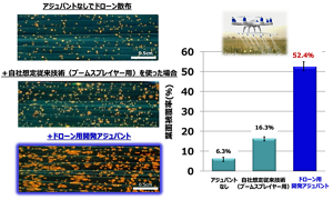 アジュバントを入れない場合は、散布はできているが、ムラがあり薬液が十分に葉を被覆できていない。これに対して、開発中のアジュバントを用いた場合、より多くの薬液が葉に付着していることが示された。