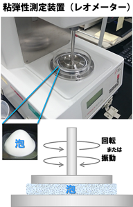 粘弾性測定装置は板の間にサンプルを挟んで回転させることで粘弾性を測る。