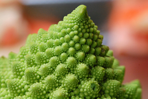 フラクタル構造を持った野菜。ロマネスコ。