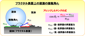 フラクタル表面に適用できるようにアレンジされたヤング式。