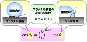 フラクタル次元Dを持つ表面と平らな表面の接触角の関係式。