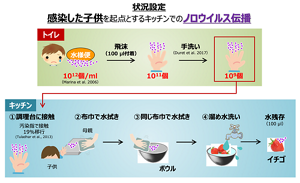 ノロウイルスの伝播のしかたを調べるための場面設定。感染した子どもを起点とし、調理台、ふきんによる水拭きなどを経て最終的にイチゴに残存するウイルスの数量を評価した。